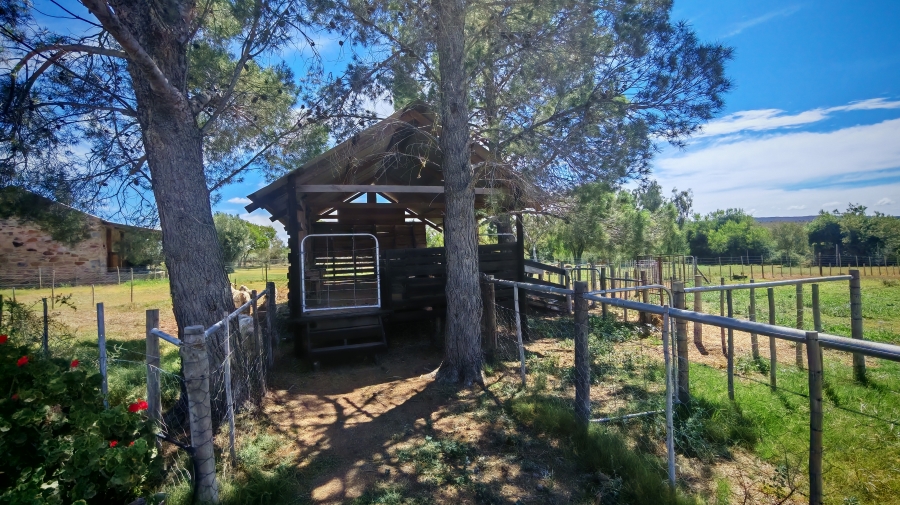 6 Bedroom Property for Sale in Pearston Eastern Cape